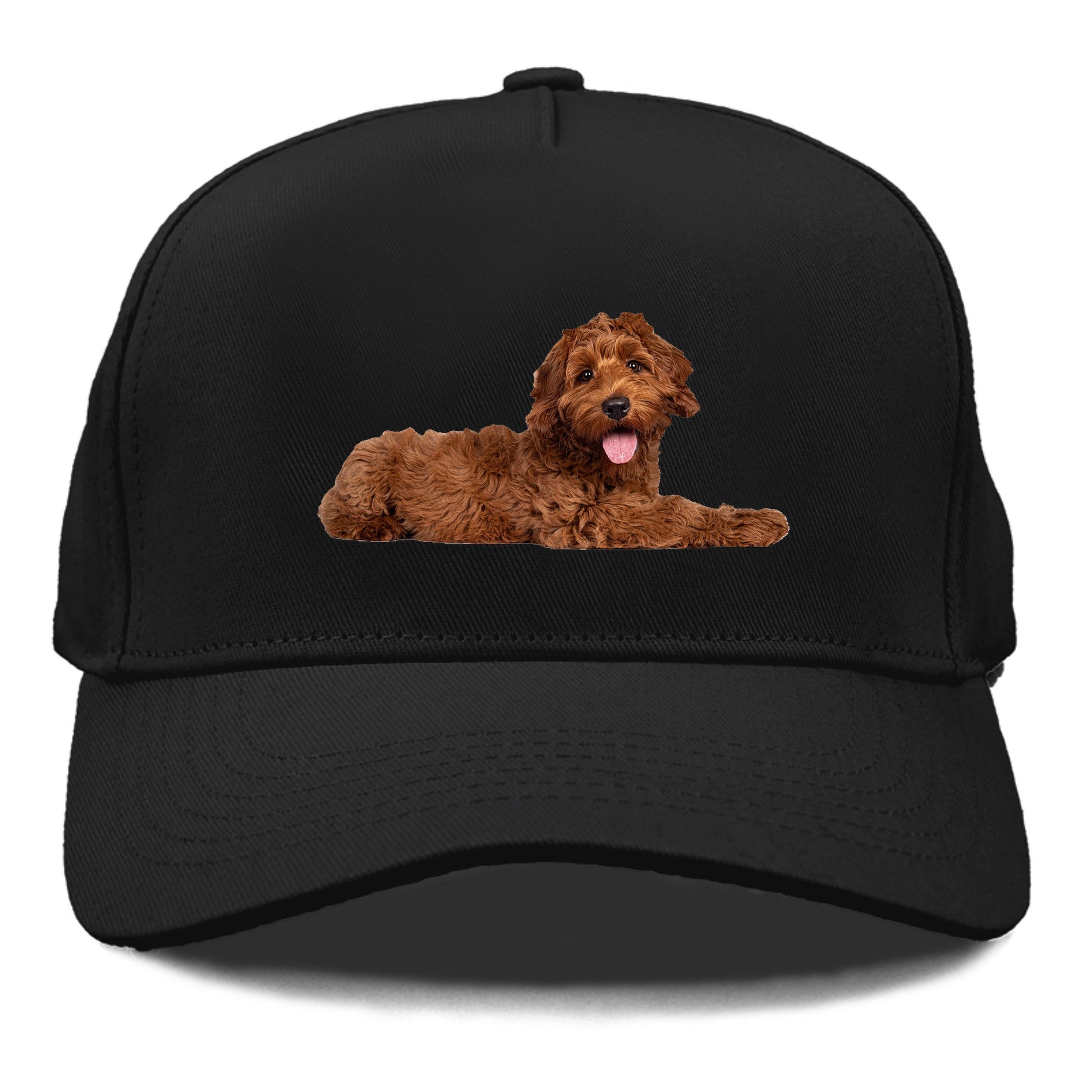 Labradoodle laying down Hat