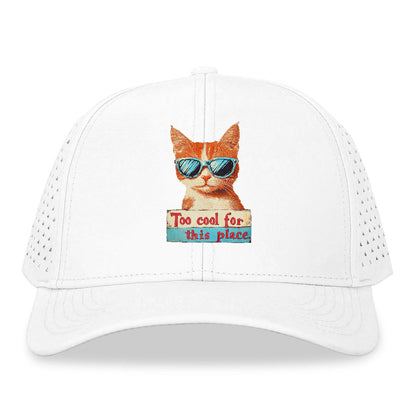 Cool Cat with Sunglasses Hat