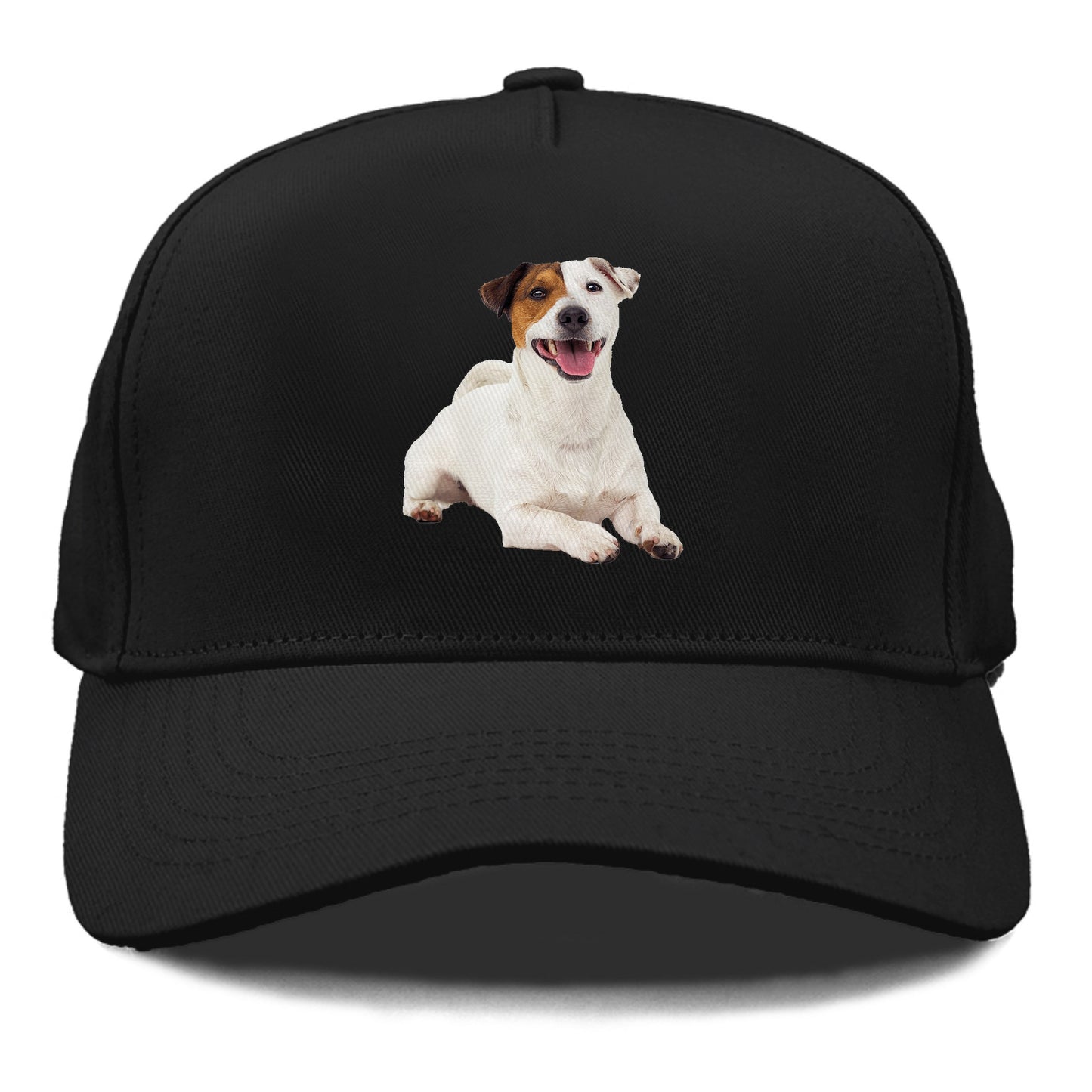 jack russell terrier dog Hat