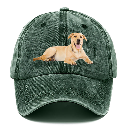 Labrador laying down Hat