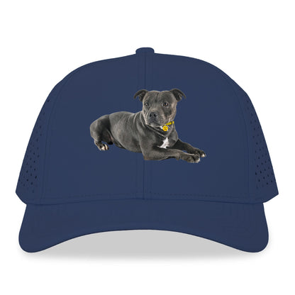 Staffordshire Bull Terrier Hat