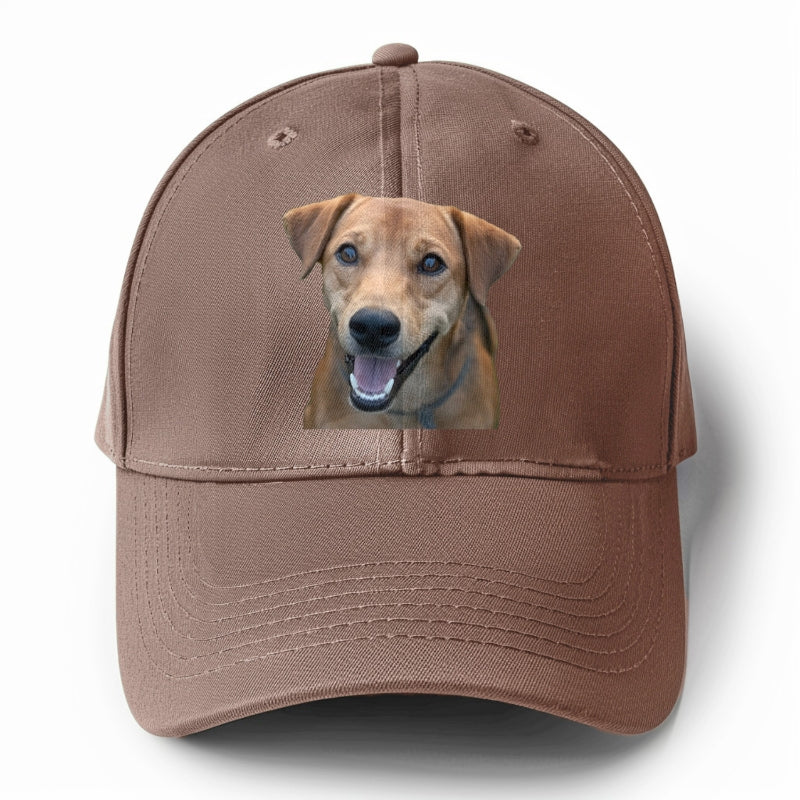 Labrador Hat