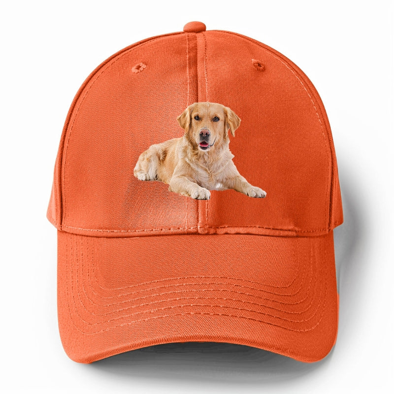 Golden Retriever laying down Hat