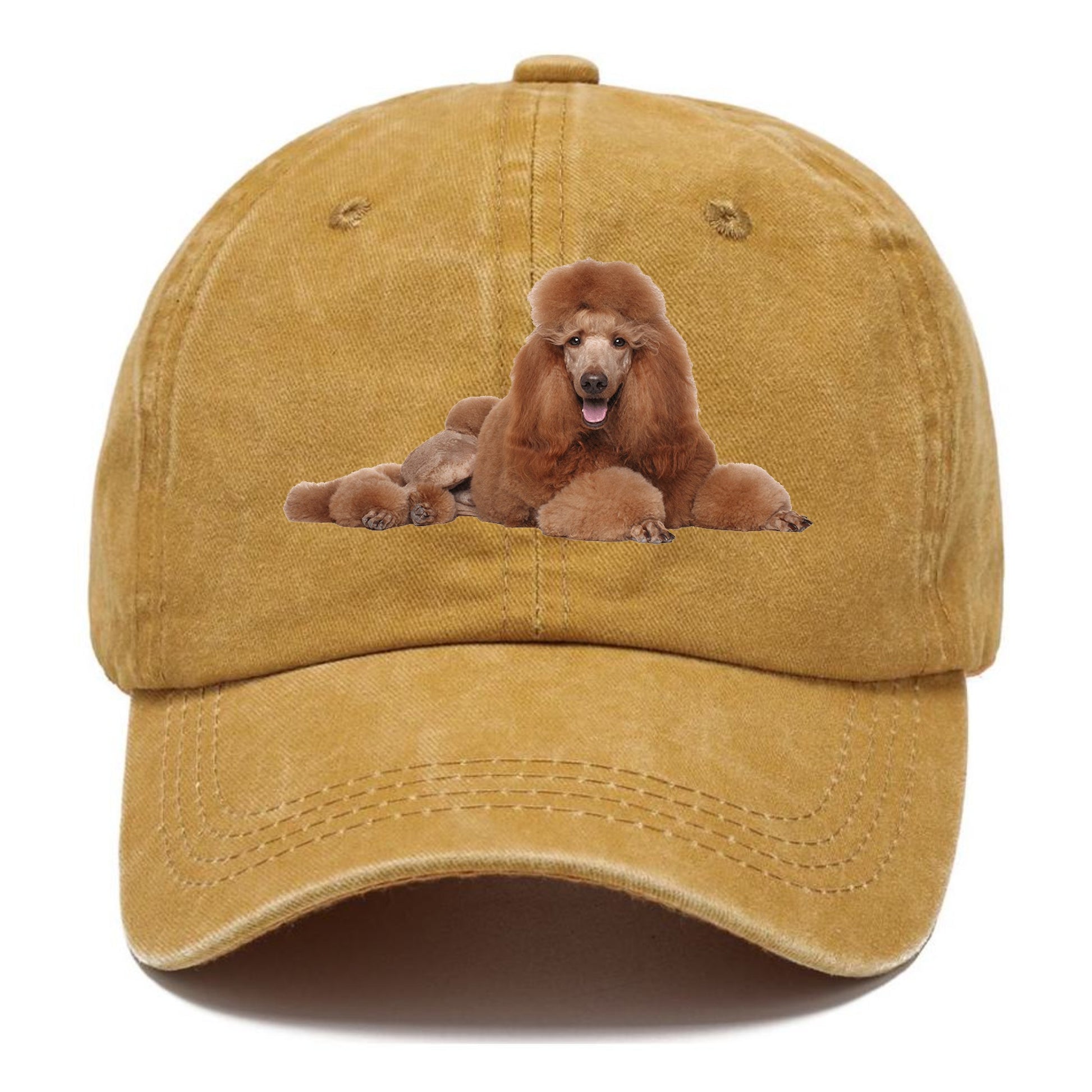 standard poodle Hat