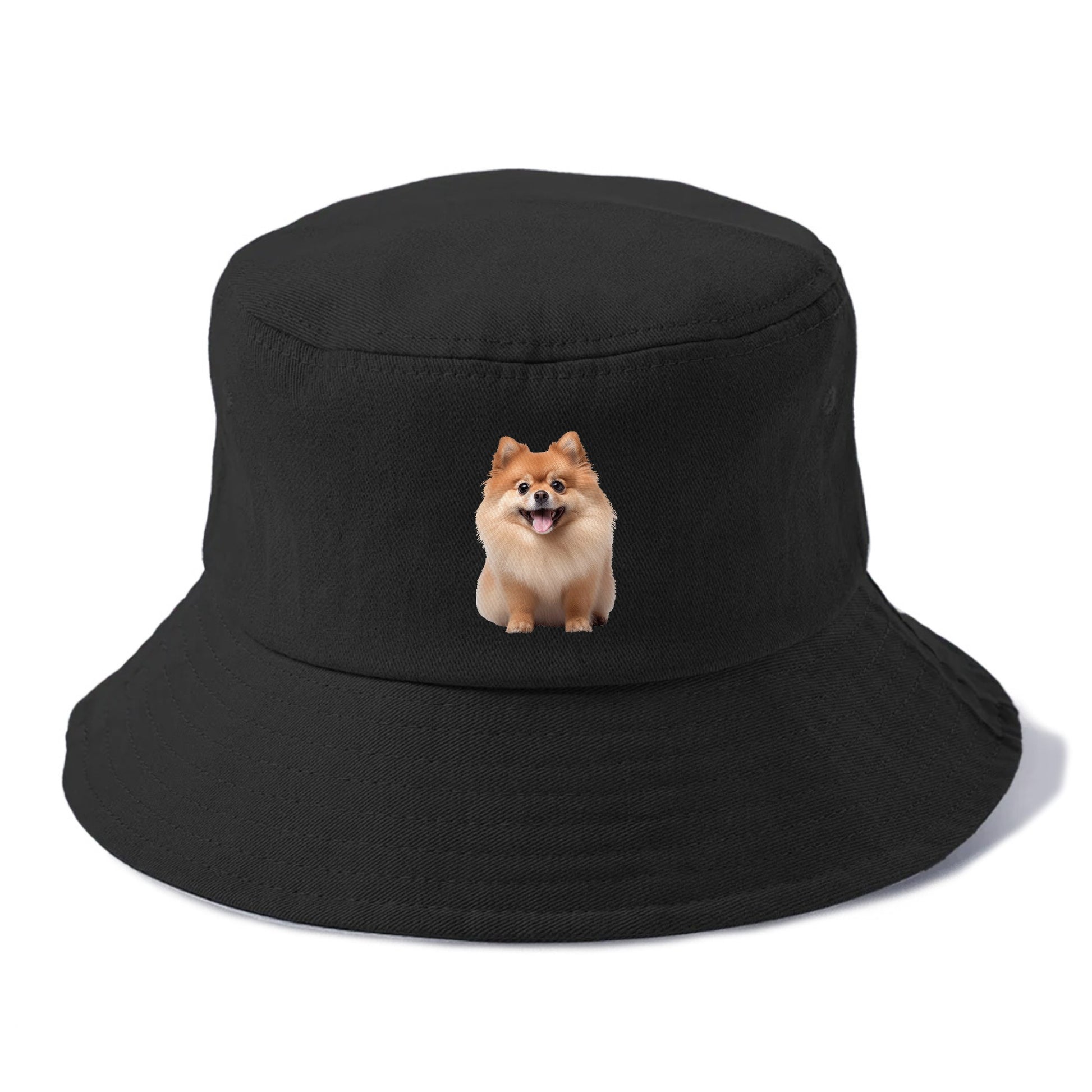 Delighted Pomeranian  Hat