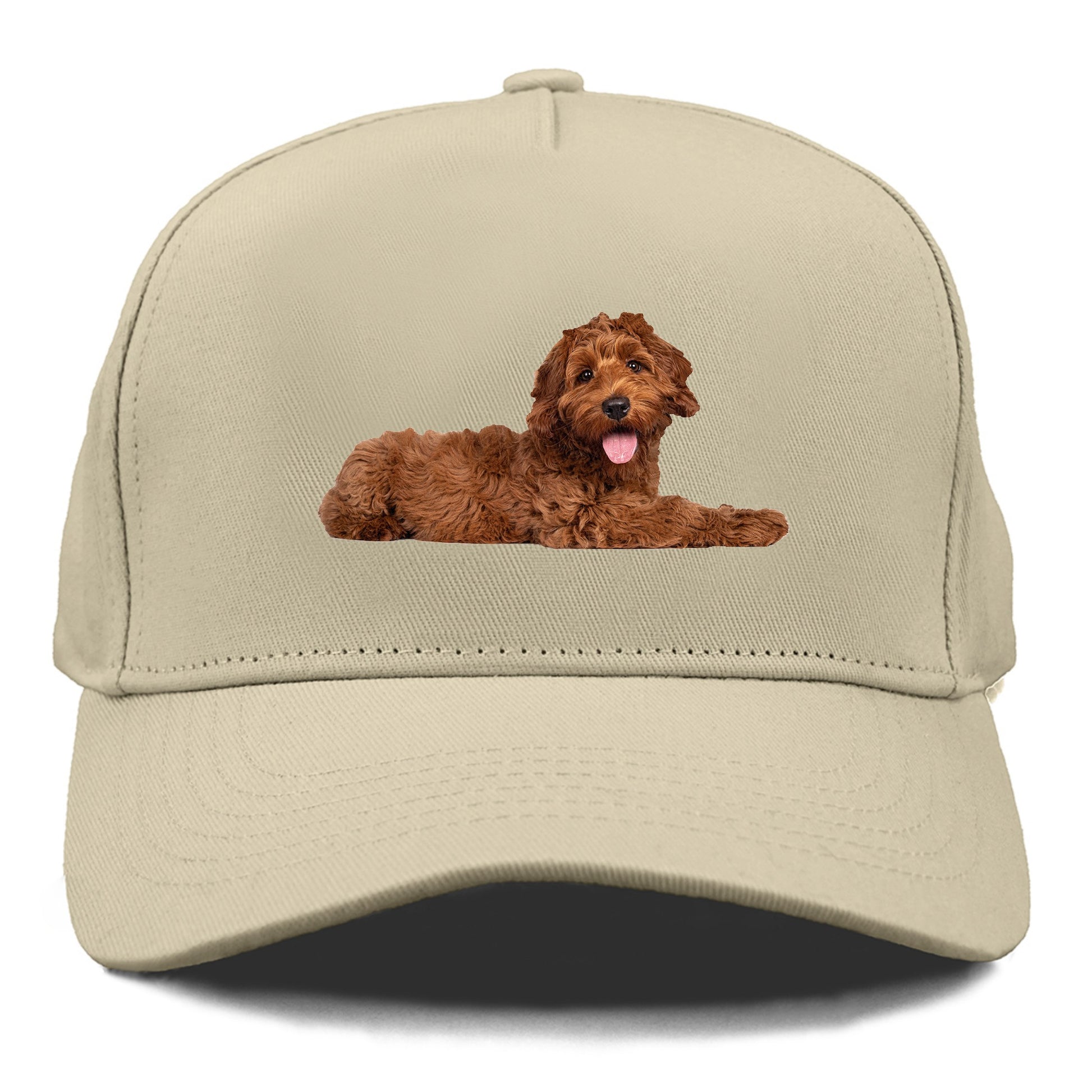 Labradoodle laying down Hat