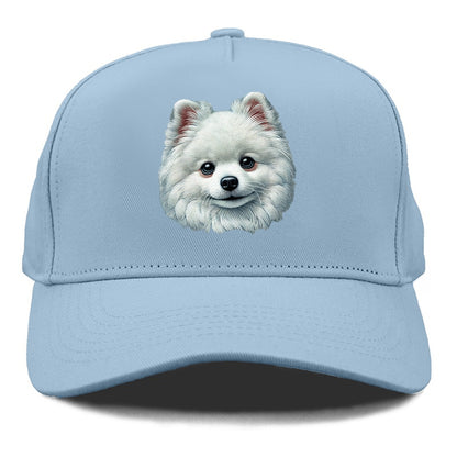 Pomeranian Hat