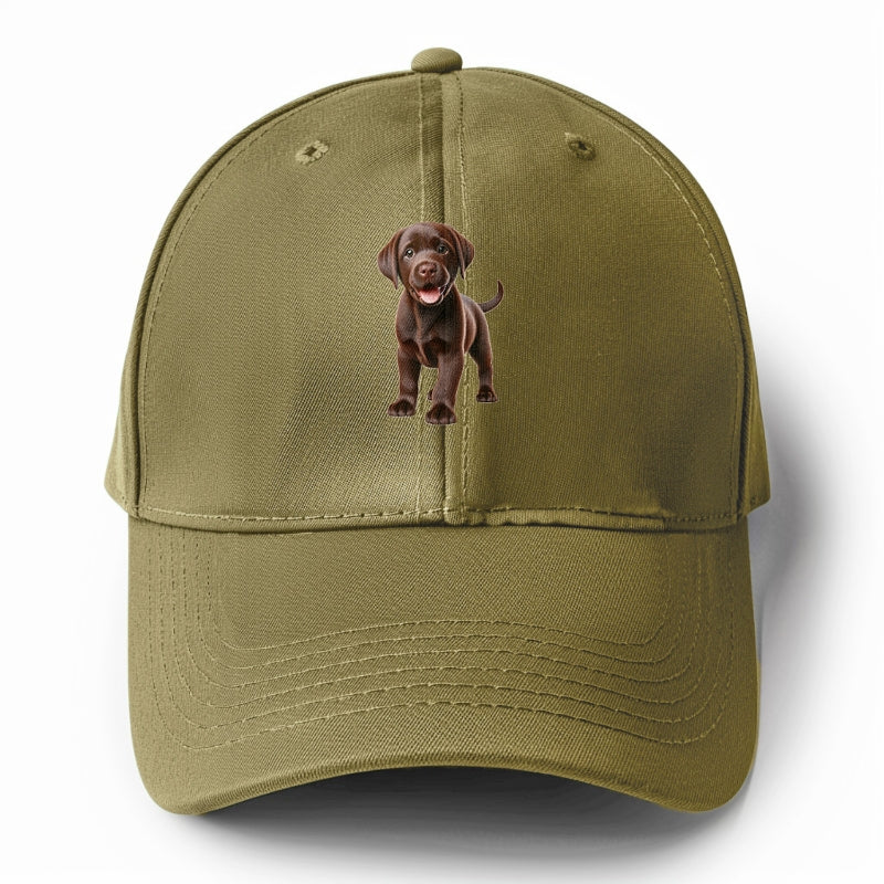 chocolate labrador Hat