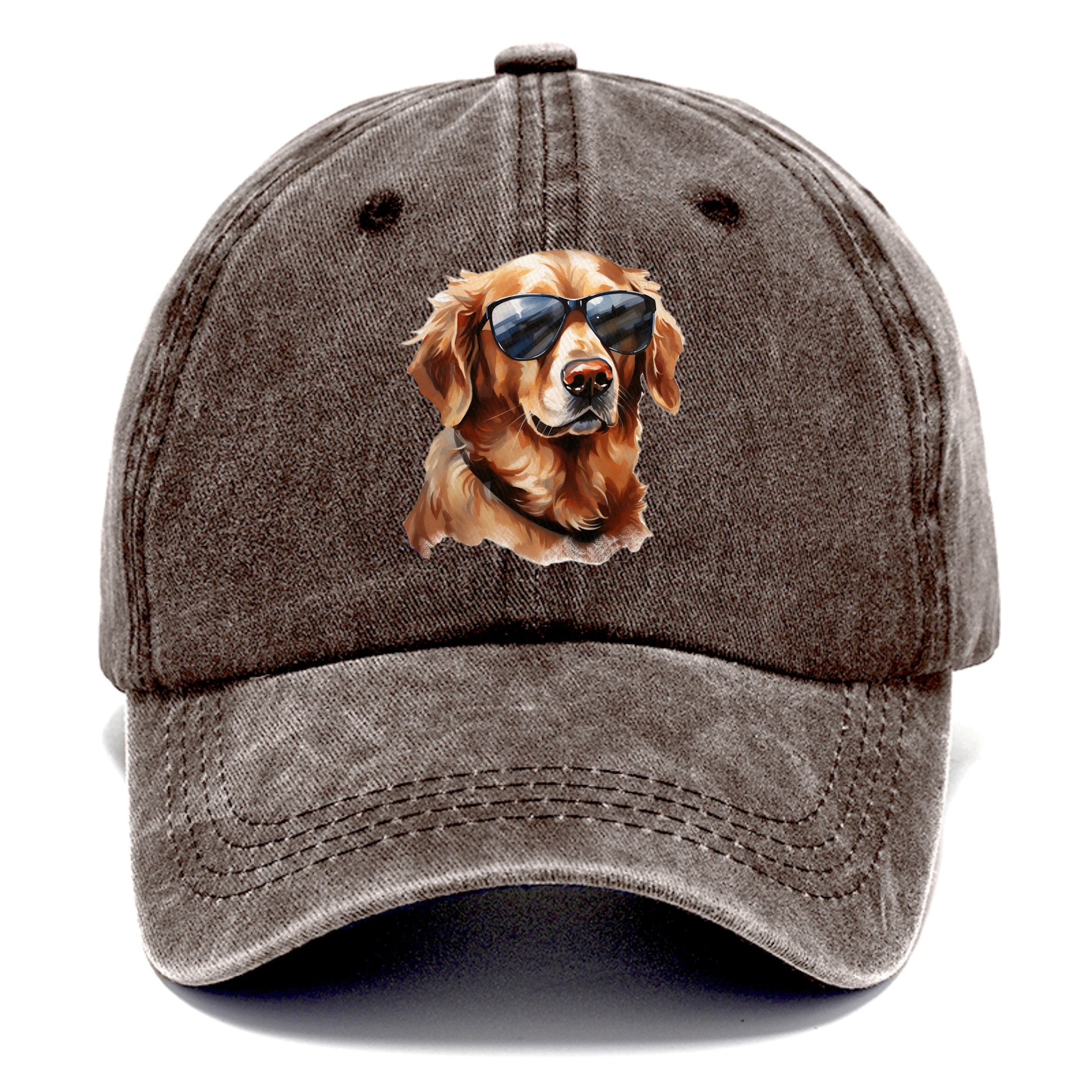 golden retriever in sun glasses Hat