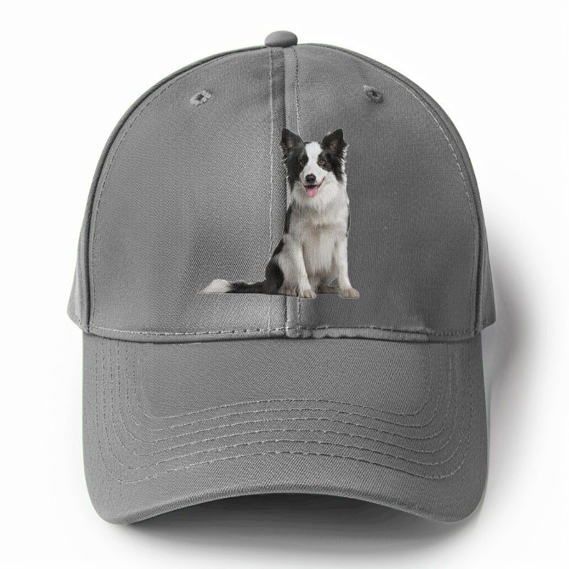 Border Collie Hat