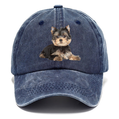 Yorkshire terrier Hat