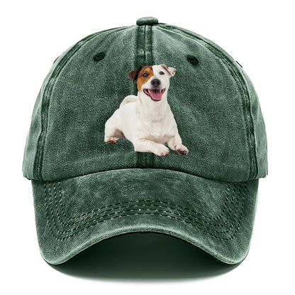 jack russell terrier dog Hat