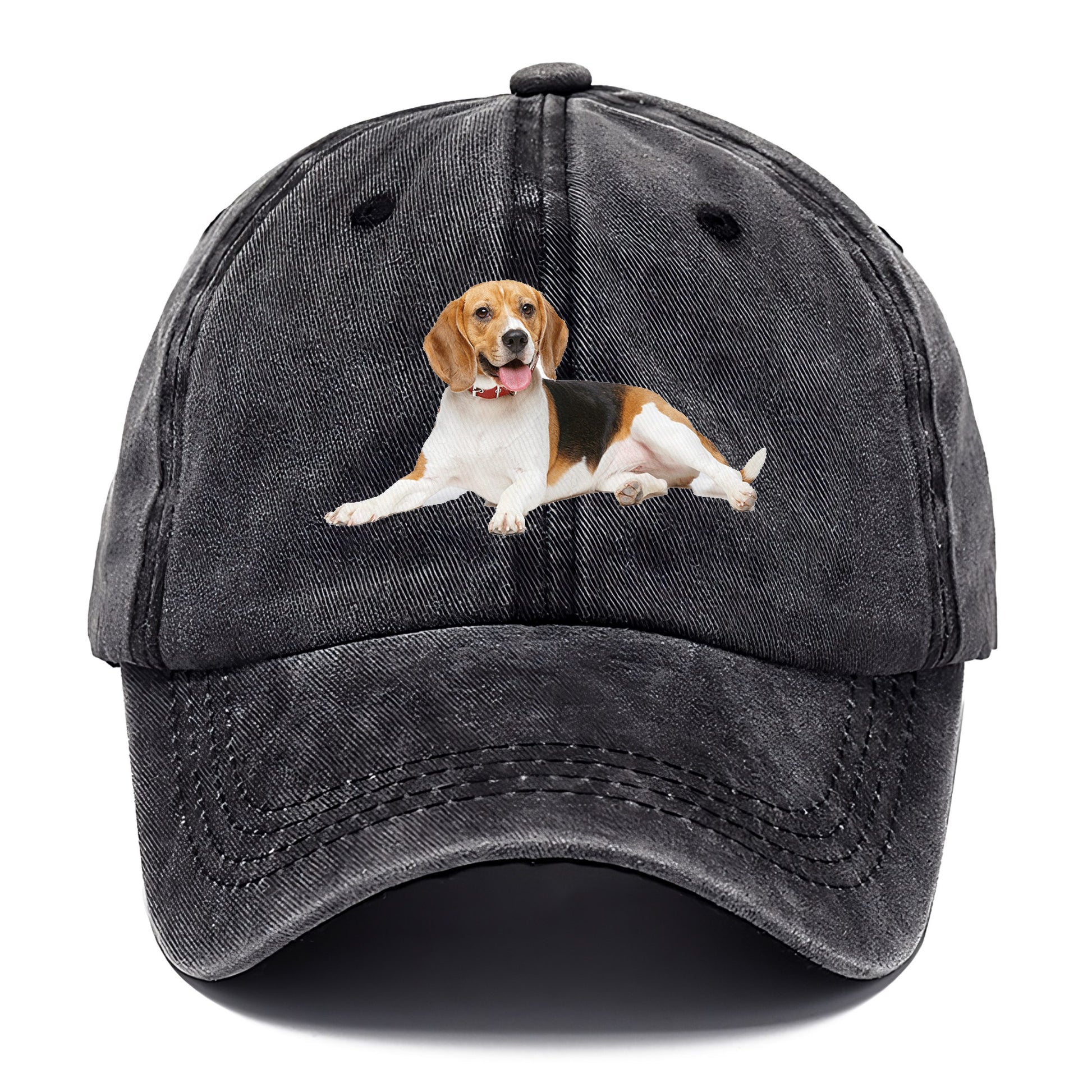 beagle Hat