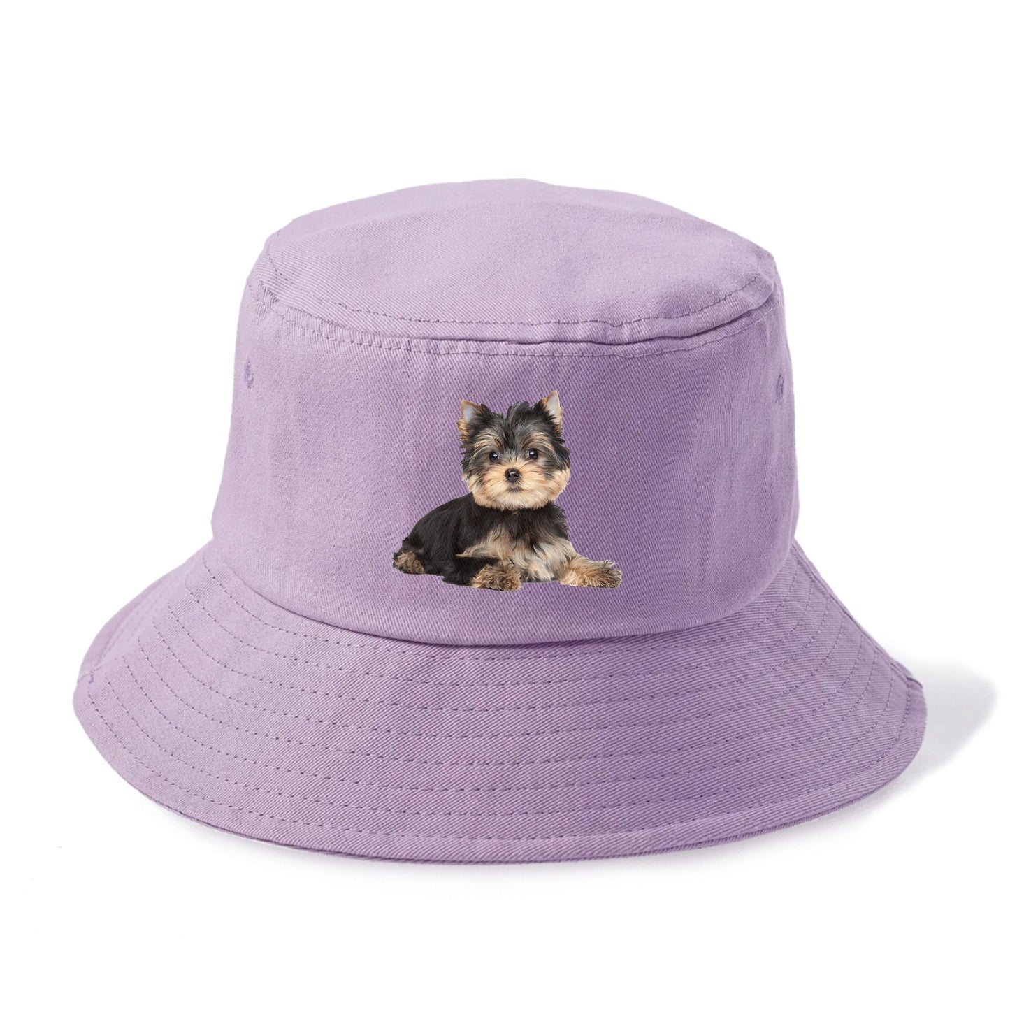 Yorkshire terrier Hat