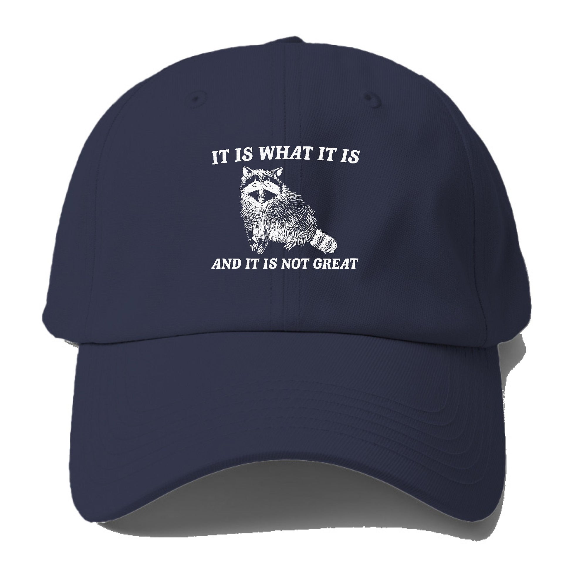 it is what it is Hat