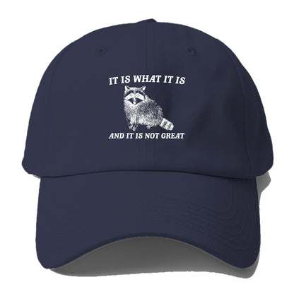 it is what it is Hat