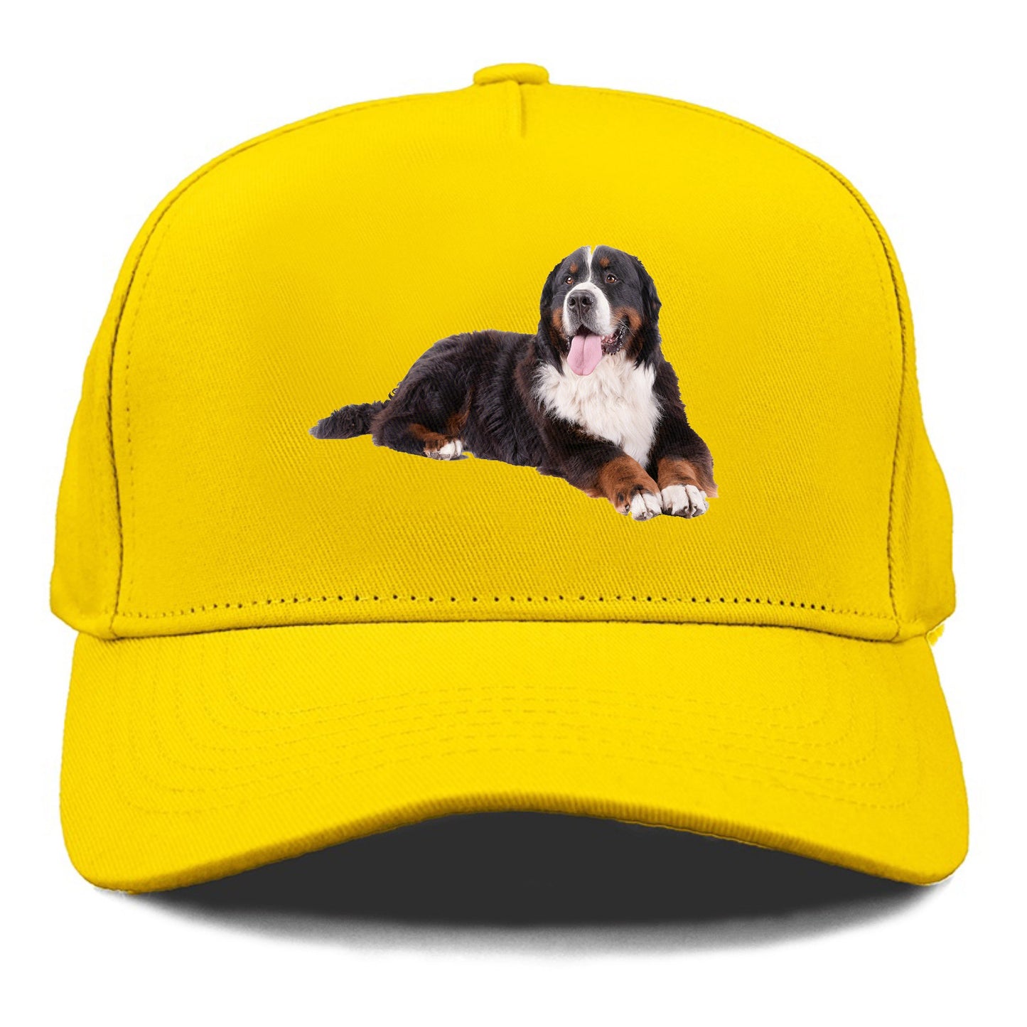 bernese mountain dog Hat