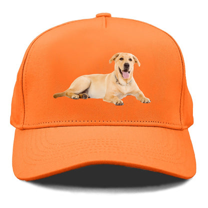 Labrador laying down Hat