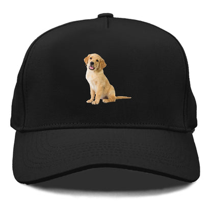 Playful golden pup with a cheerful expression Hat