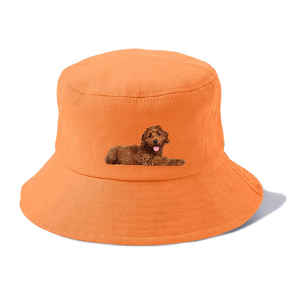 Labradoodle laying down Hat