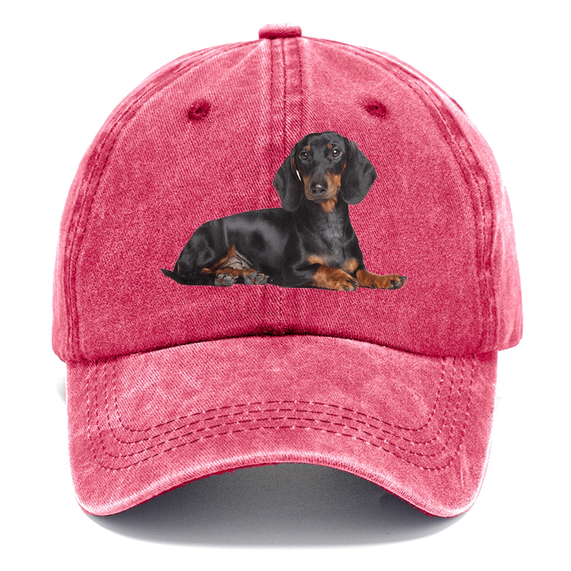 dachshund Hat