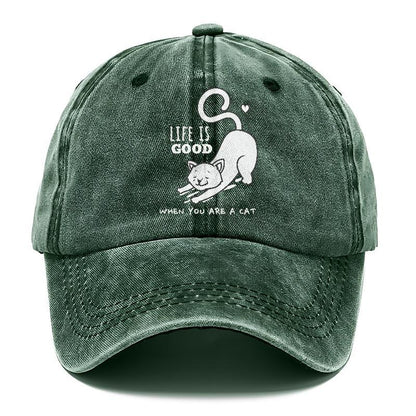 Whiskered Whimsy: Embrace the Purrfect Life with our Cat-Inspired Hat - Pandaize