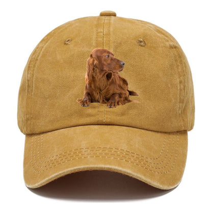 Irish Setter Hat