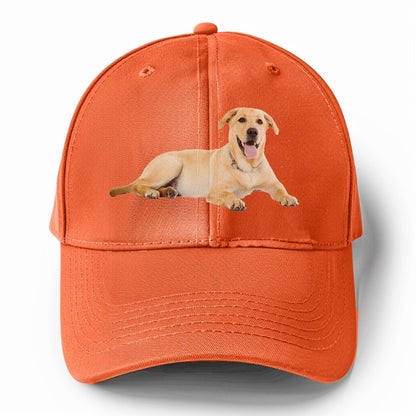 Labrador laying down Hat