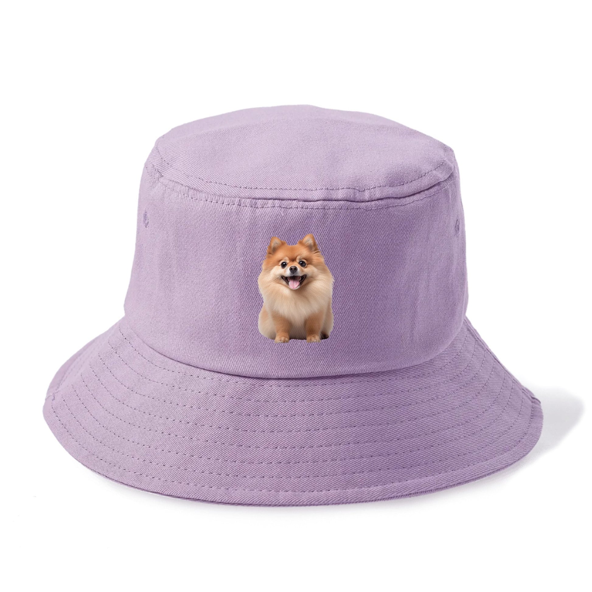 Delighted Pomeranian  Hat