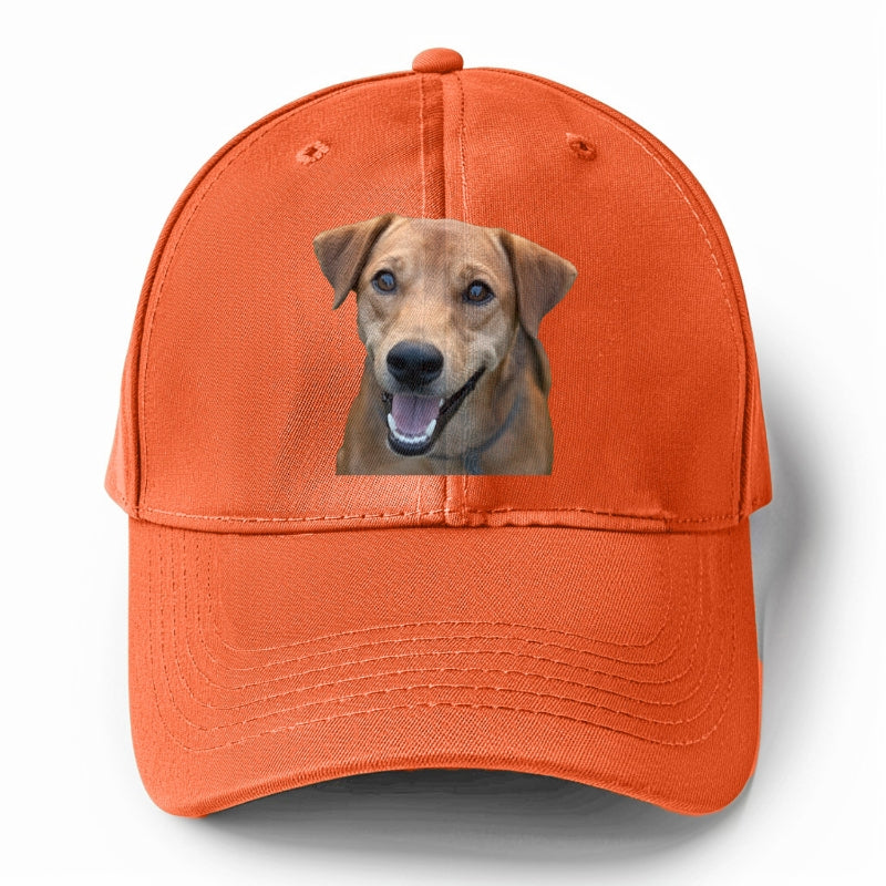 Labrador Hat