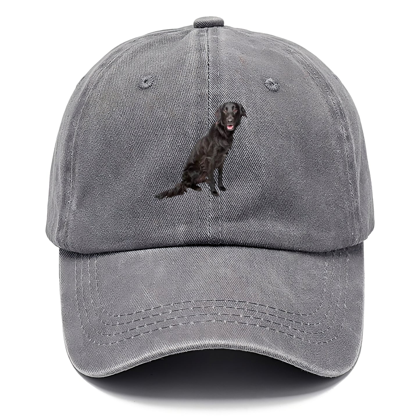 FlatCoated Retriever Hat