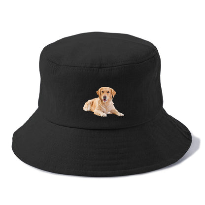 Golden Retriever laying down Hat