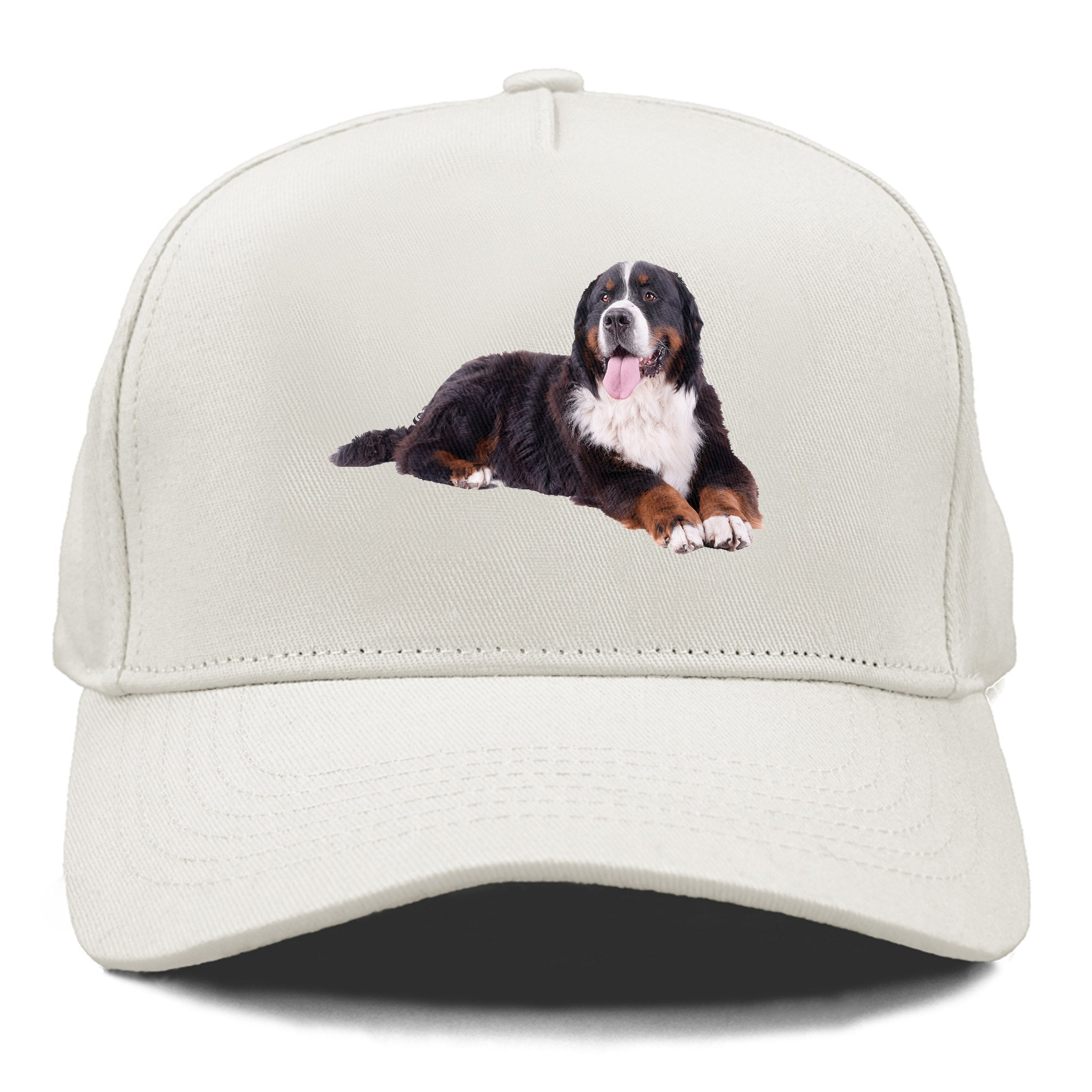 Bernese mountain dog store hat