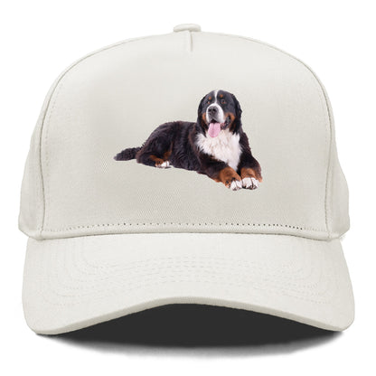 bernese mountain dog Hat