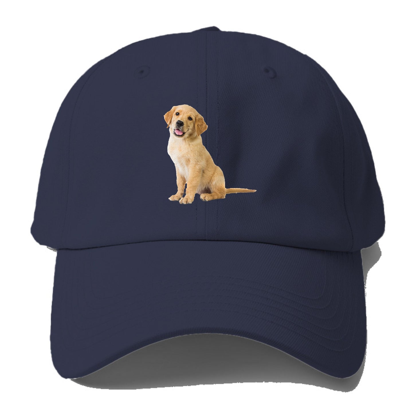 Playful golden pup with a cheerful expression Hat