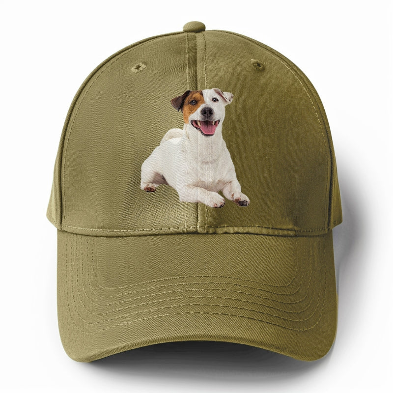 jack russell terrier dog Hat