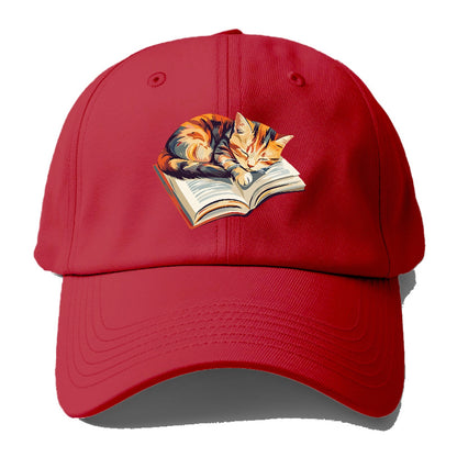 Cat Nap on Book Hat