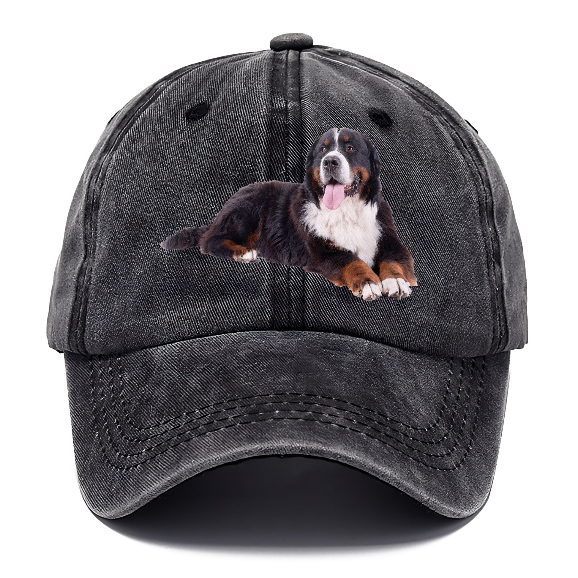 bernese mountain dog Hat