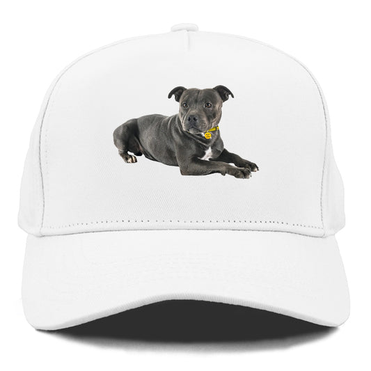 Staffordshire Bull Terrier Hat