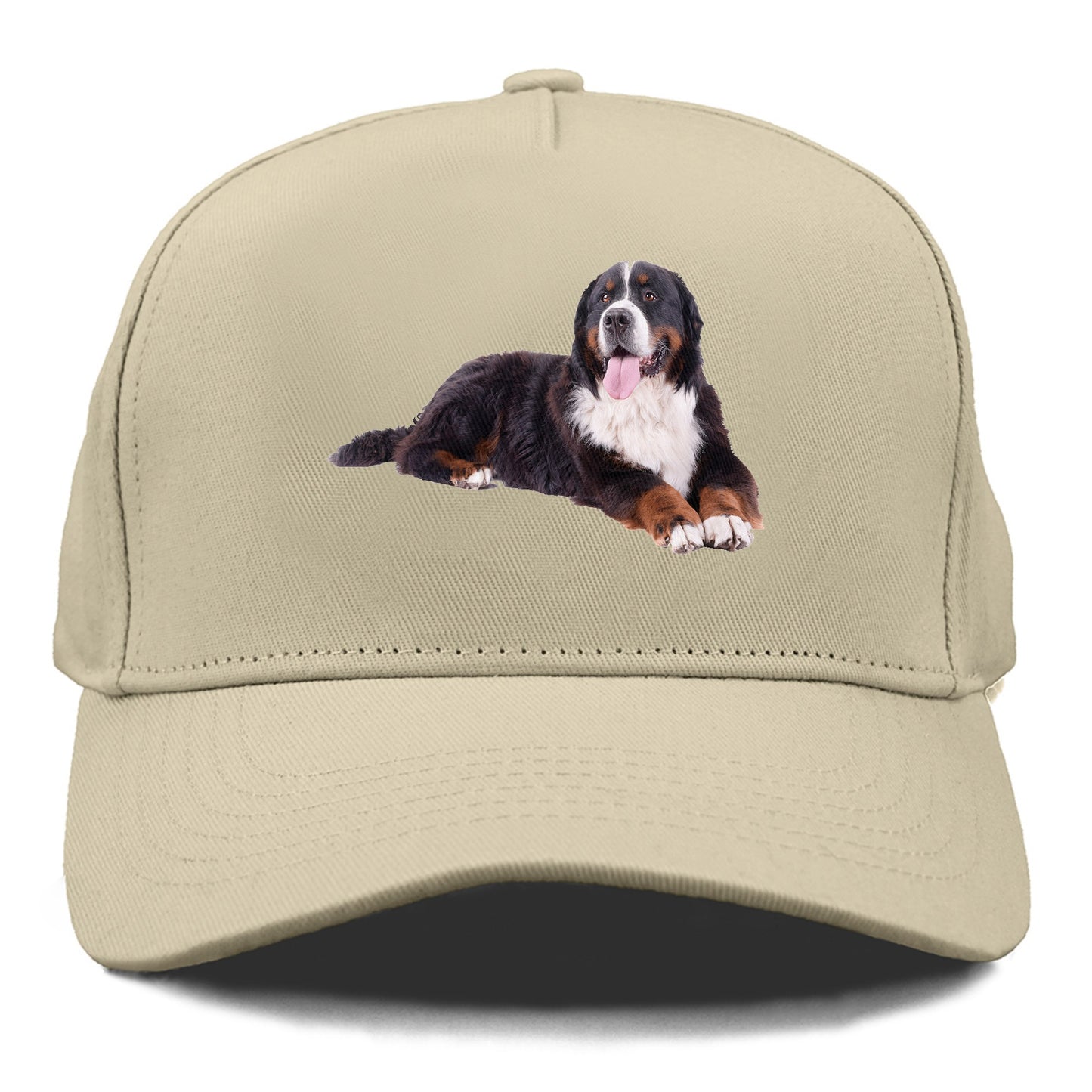 bernese mountain dog Hat