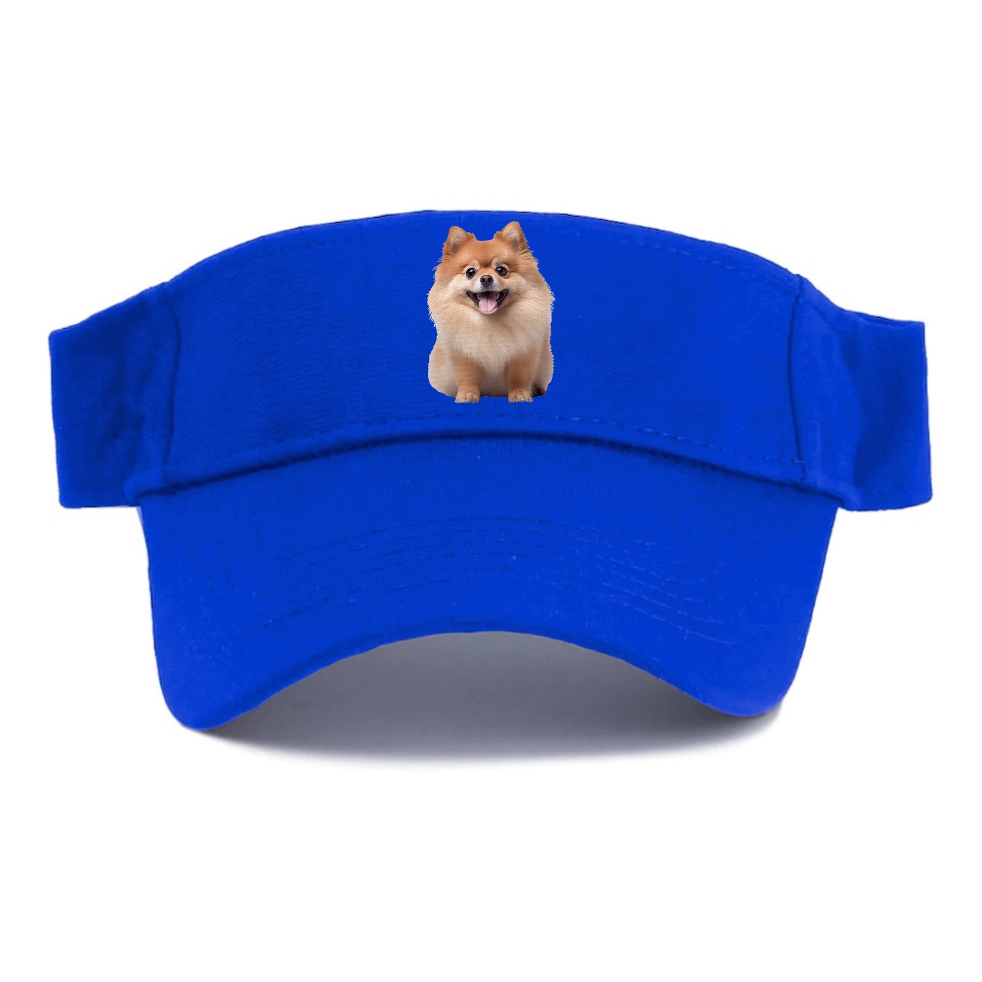 Delighted Pomeranian  Hat