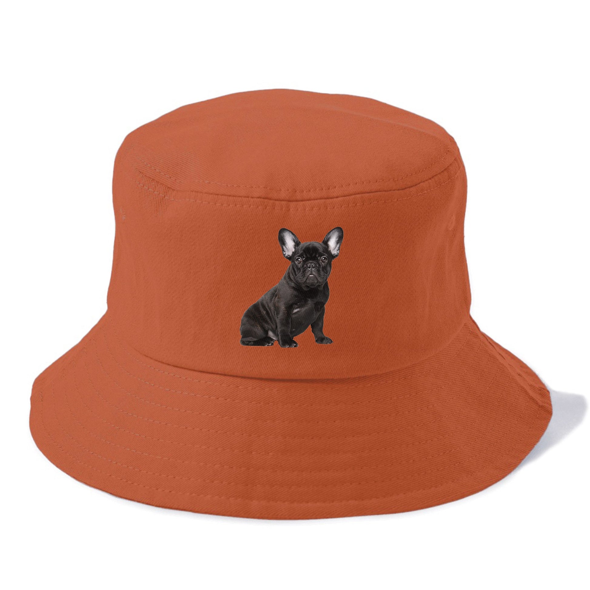 french bulldog Hat