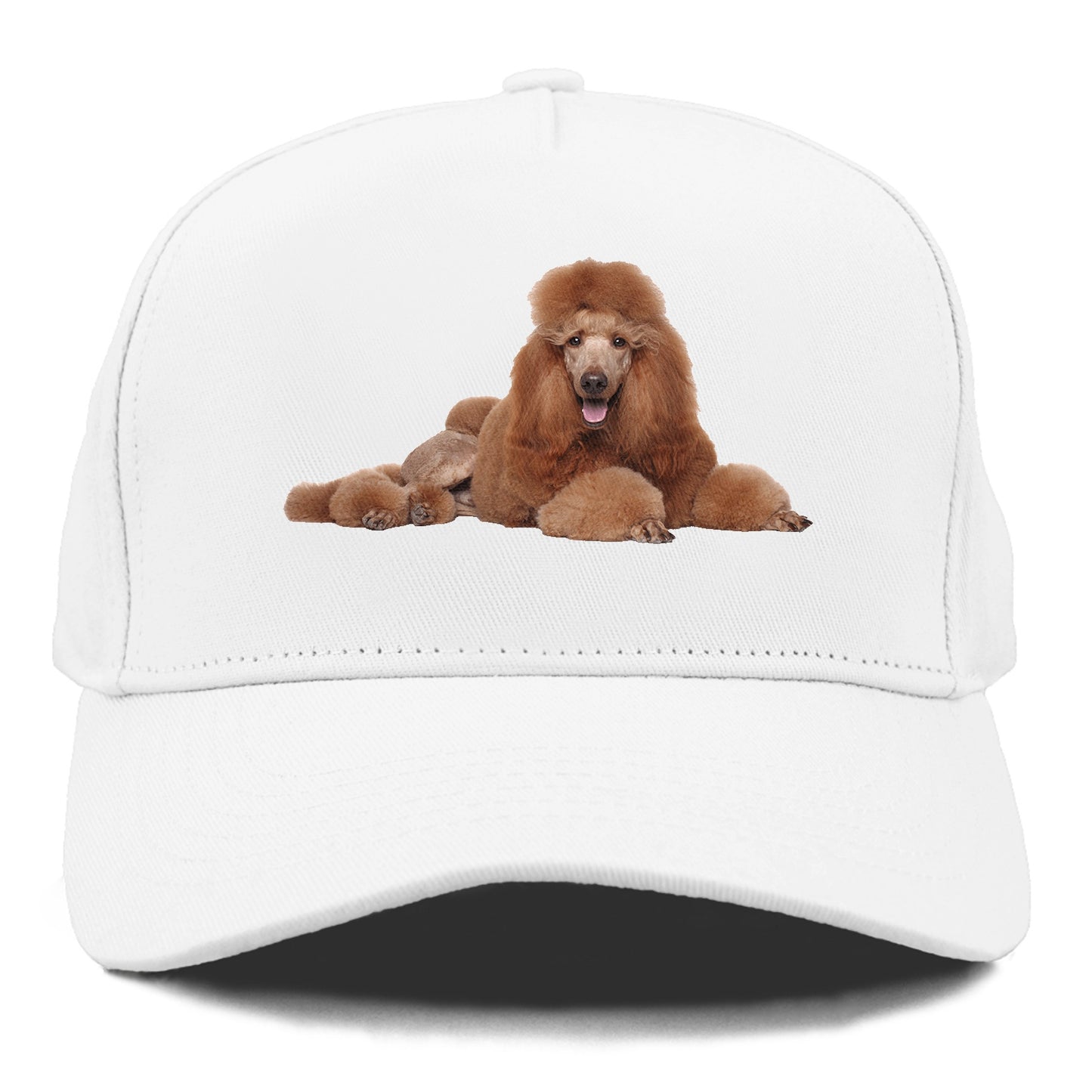 standard poodle Hat