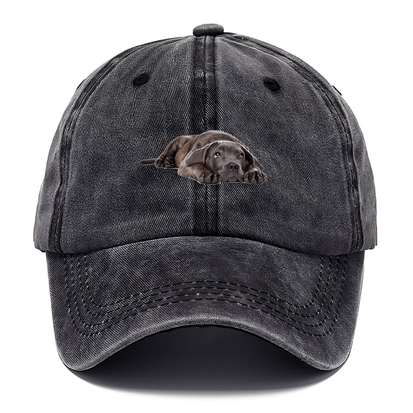 cane corso Hat