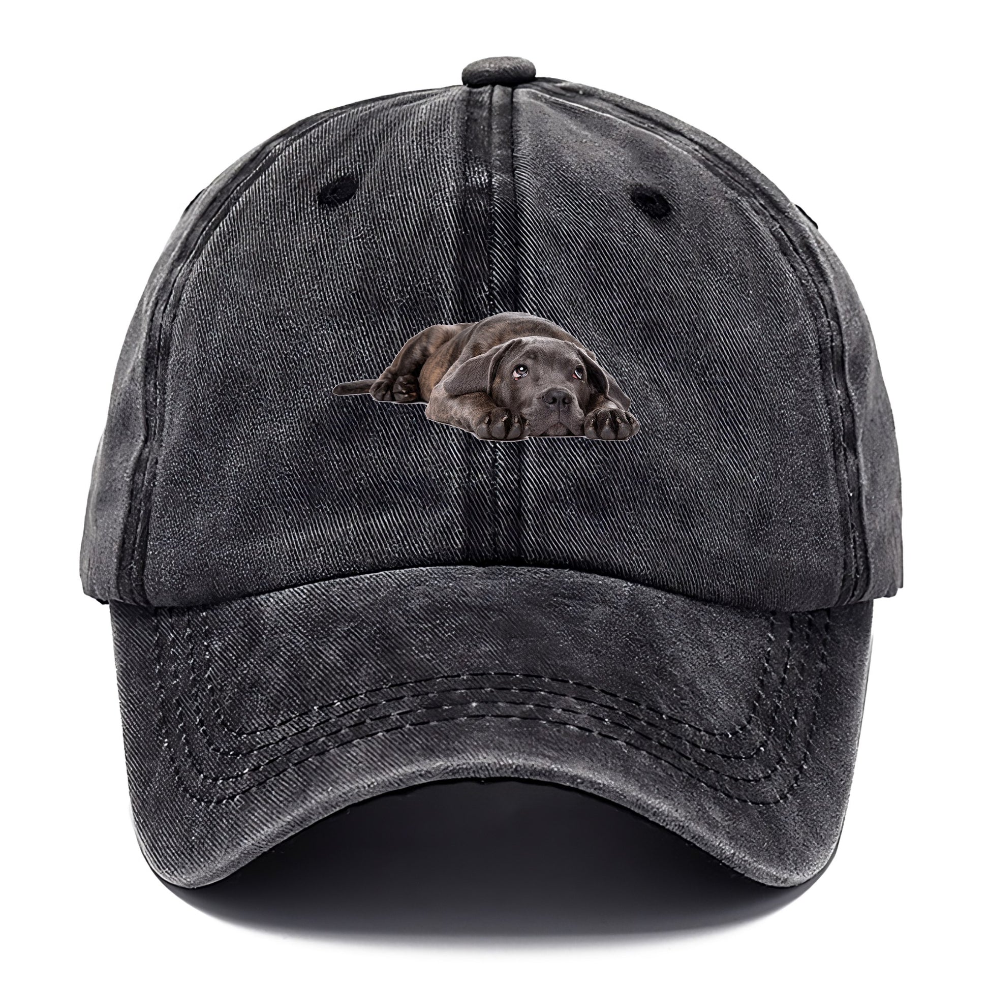 cane corso Hat