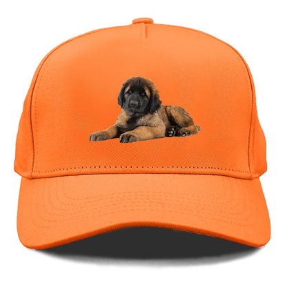 Leonberger Hat