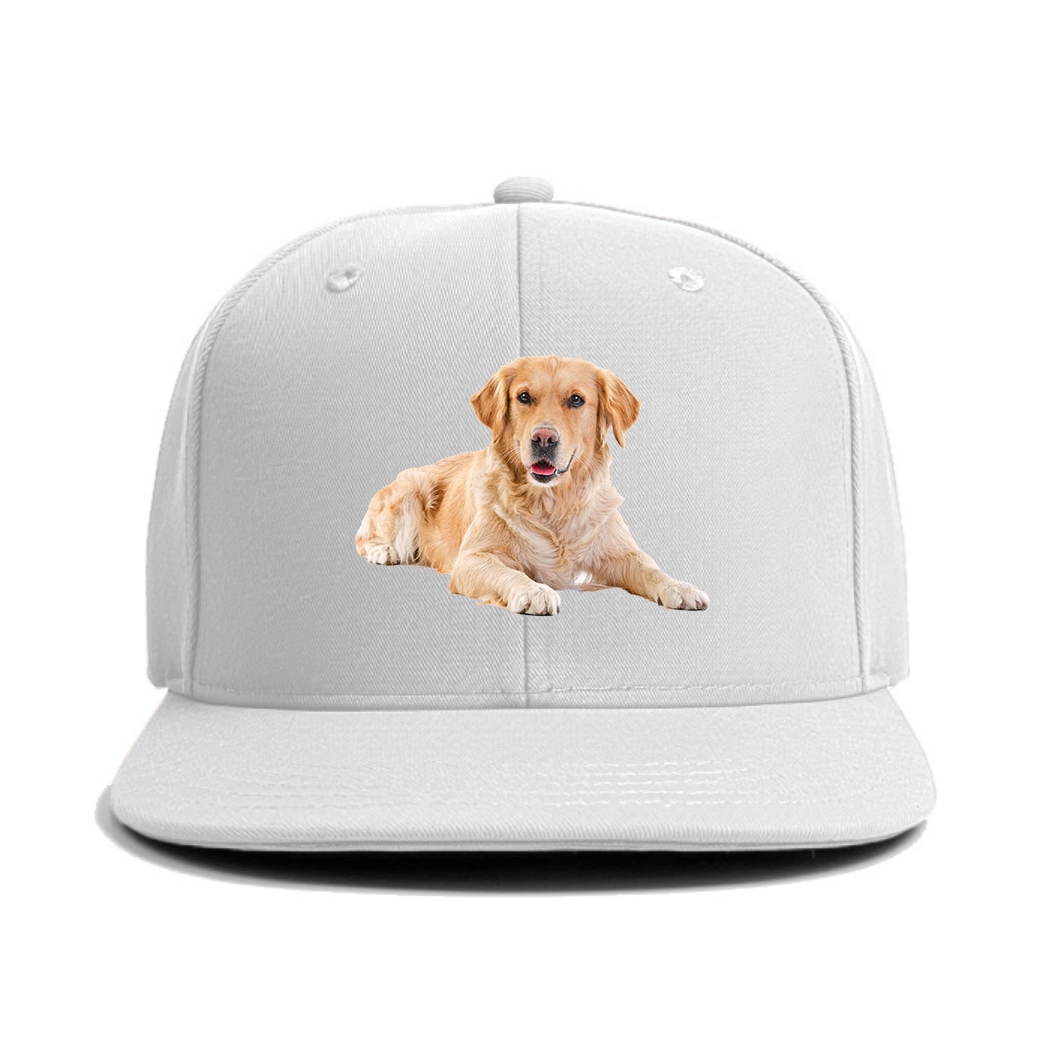 Golden Retriever laying down Hat