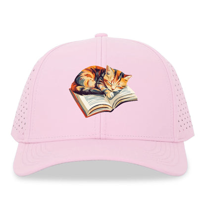 Cat Nap on Book Hat