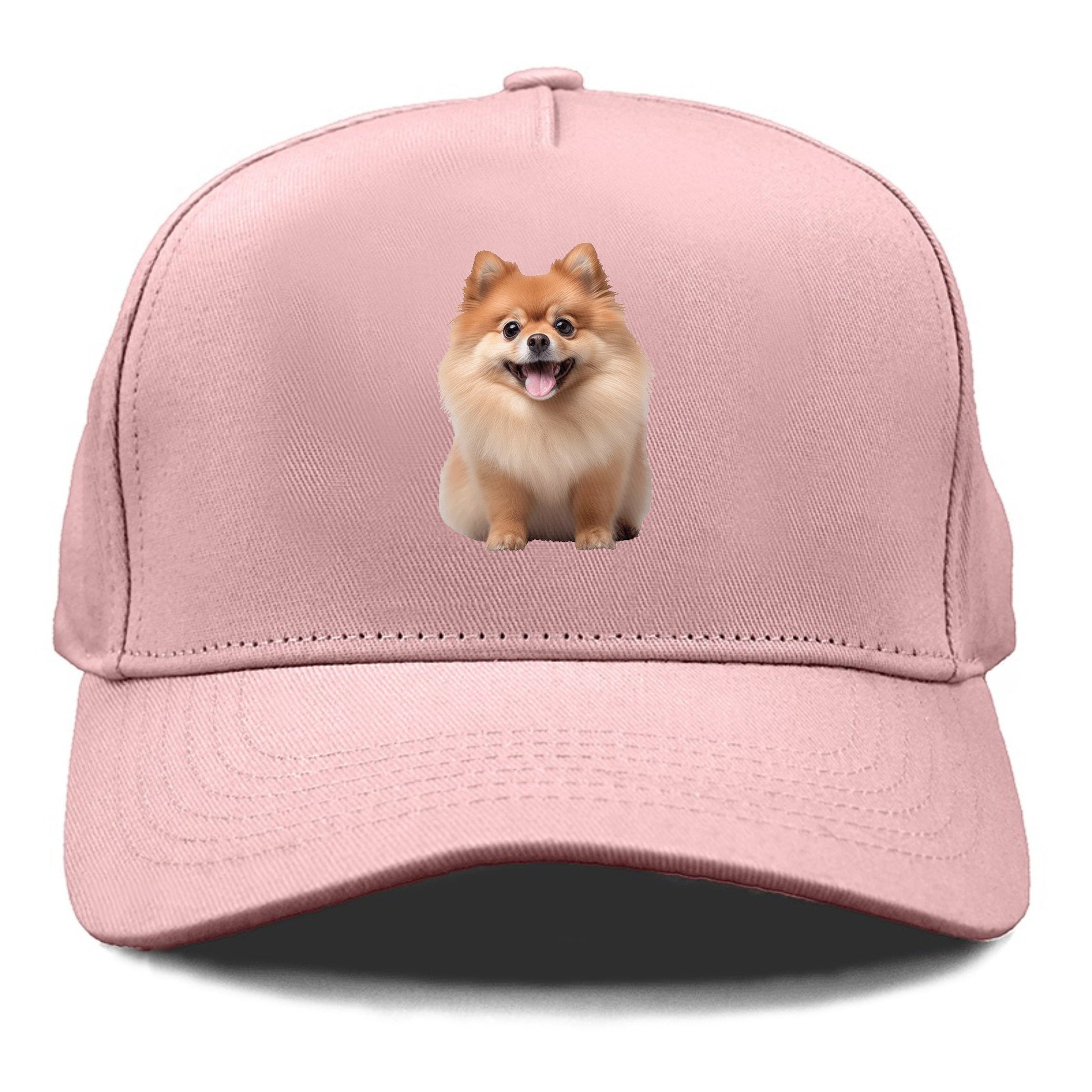 Delighted Pomeranian  Hat