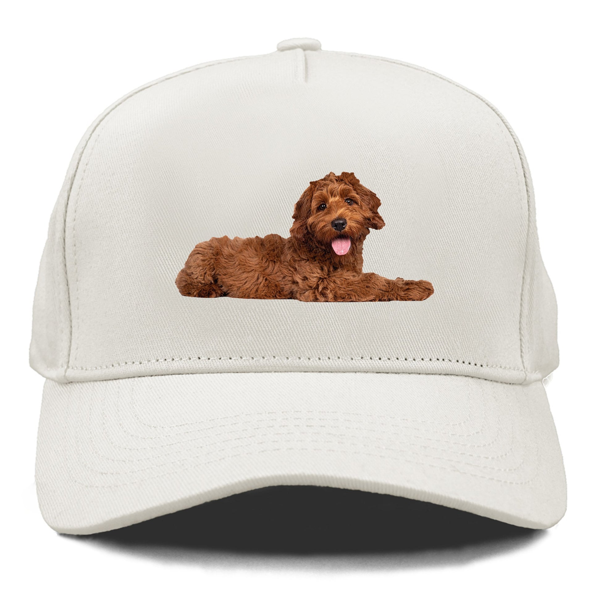 Labradoodle laying down Hat